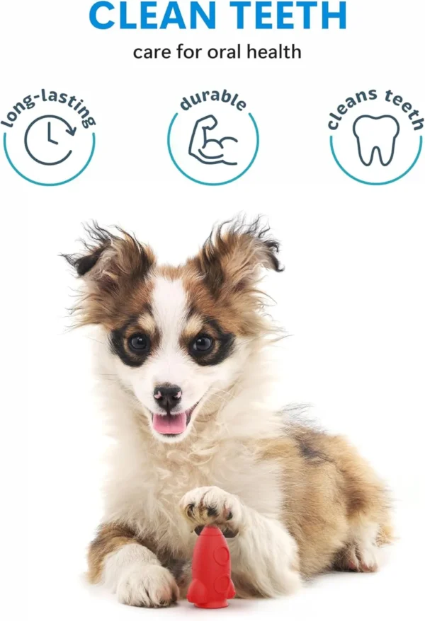 Tough Chew Toys for Small Dogs – Rubber, Teething-Friendly - Image 4